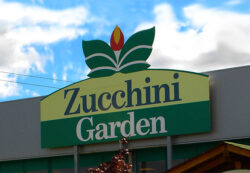 Zucchini Garden