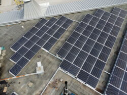 Il Cuoco – 100 kWp – Bologna